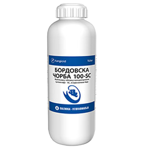 bordovska-corba-300-ml